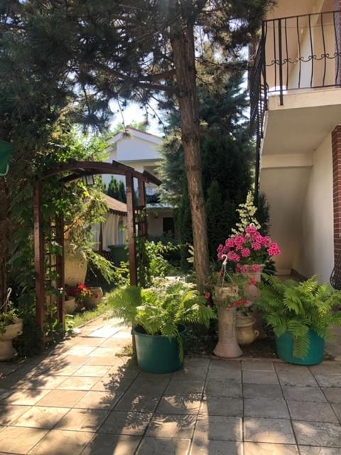 Suzana Garden Hotel Venus Exterior foto
